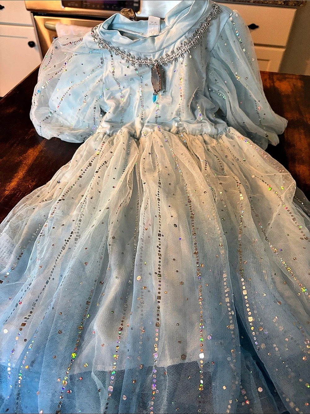 Disney Frozen 2 Elsa Deluxe Costume Dress Blue